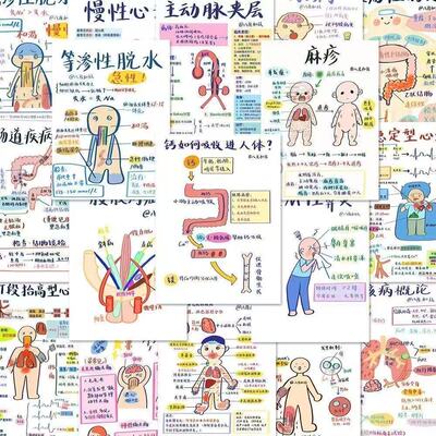 192张医学笔记手绘创意人体贴纸