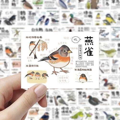 108张鸟类图鉴贴纸小鸟周边学习认知鸟类之时装饰手账手机电脑DIY
