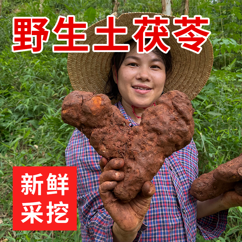 新鲜土茯苓野生500g广西中药材中草药的功效与作用正品官方旗舰店