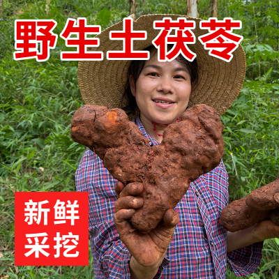 新鲜天然·野生土茯苓·正品无硫