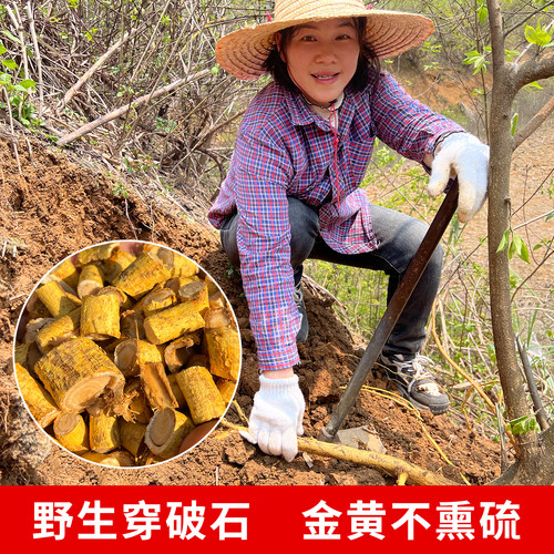 广西长寿村野生穿破石