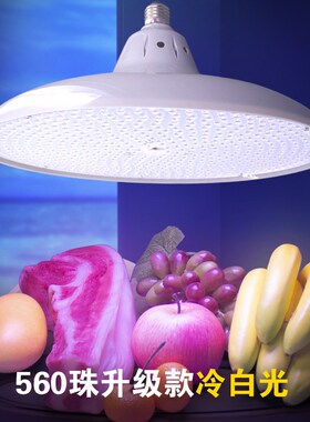 2024新款ledk生鲜灯猪肉牛羊肉灯市场专用灯照肉灯560珠冷白光超