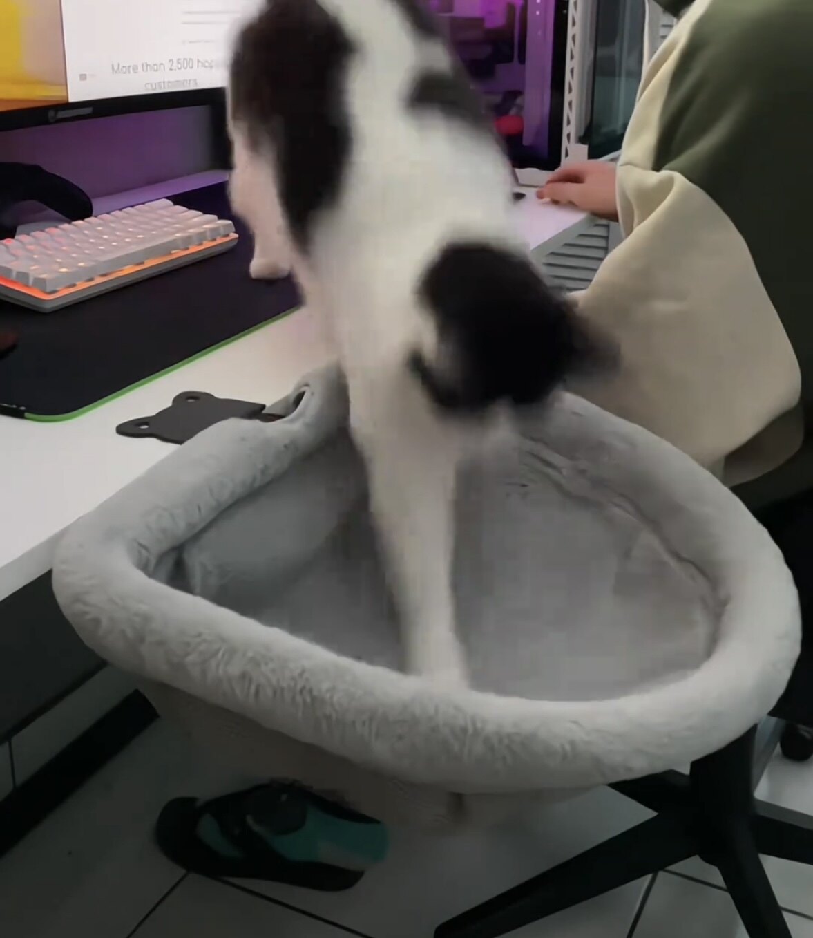 爆款书桌猫窝桌面猫窝可折叠猫窝不占地方猫窝床桌边猫床支架猫窝