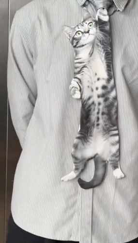 新款猫咪领带创意领巾2025可爱趣味小众设计感领结美短图案