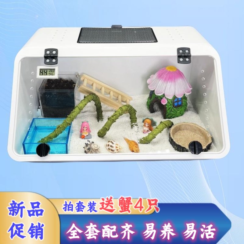 寄居蟹压克力一体斜面大饲养箱套餐 新手套装送蟹礼物造景缸