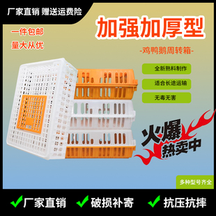 塑料家禽周转箱筐鸡笼运输笼成鸡鸭鹅鸽子笼子兔笼养殖笼家用大号