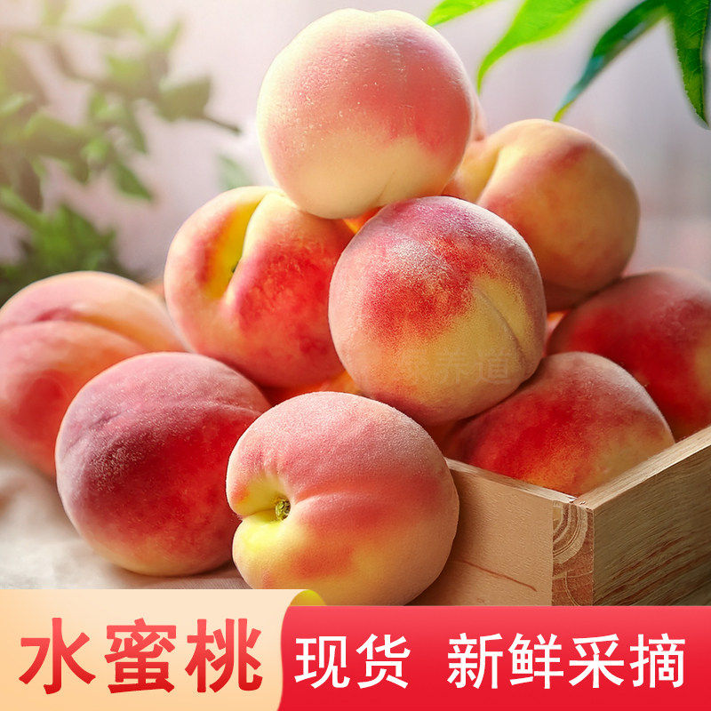 河北新鲜桃子鲜桃4.5斤/2斤装水蜜桃新鲜水果
