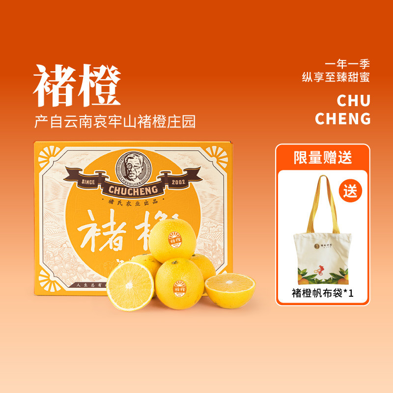 百果园店云南玉溪褚橙9.6斤礼盒装XL 珍品果哀牢山冰糖橙应季水果