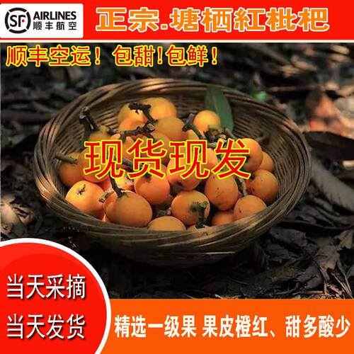 杭州大红袍琵琶精选大果鲜甜现摘现发礼盒胜苏州东山白玉