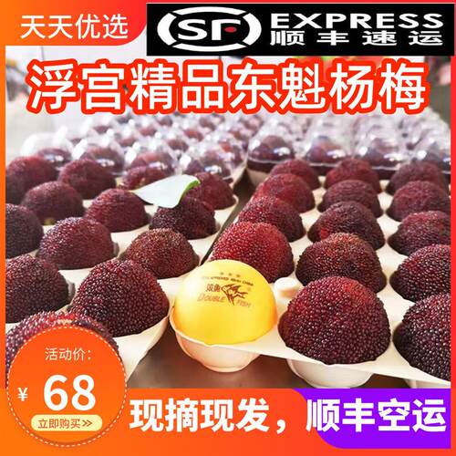顺丰空运浮宫东魁杨梅不打药新鲜现摘孕妇当季水果整箱鲜果包邮