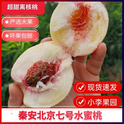【北京七号水蜜桃】正宗甘肃天水秦安水蜜桃新鲜当季水果天水桃子