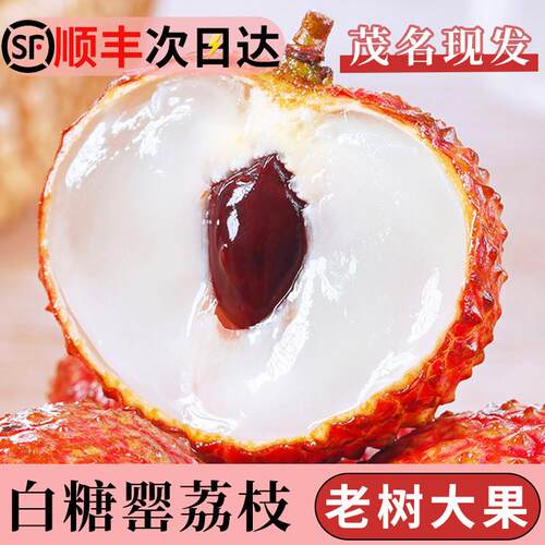 顺丰广东茂名白糖罂荔枝新鲜水果5斤当季现摘妃子桂笑味整箱包邮
