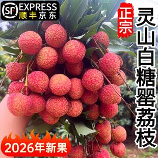 灵山白糖罂荔枝新鲜水果当季整箱广西桂1味糯米0糍纯甜顺丰空运