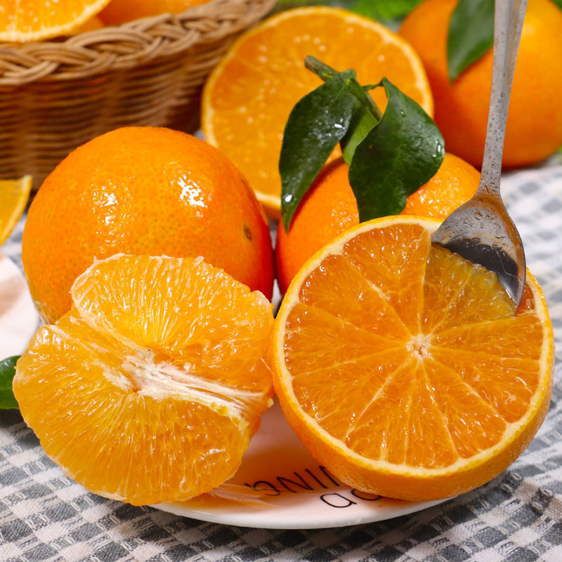 【野居】爱媛38号果冻橙新鲜水果