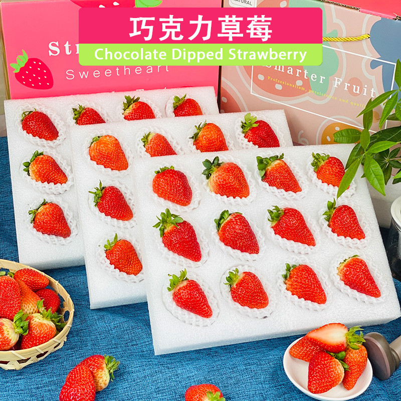 礼盒装4斤大果双流冬草莓99巧克力牛奶新鲜水果孕妇四川现摘