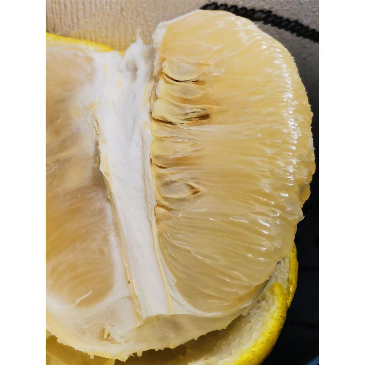 江永香柚沙田柚湖南永州特产新鲜孕妇水果胜广西容县蜜柚子包邮,包装,水果包装,淘宝优惠券,粉丝福利购,淘宝优惠卷