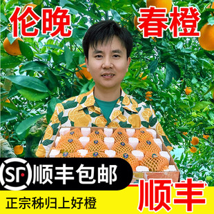 礼盒顺丰包邮秭归伦晚脐橙子当季新鲜橙子水果整箱甜橙柑橘桔子