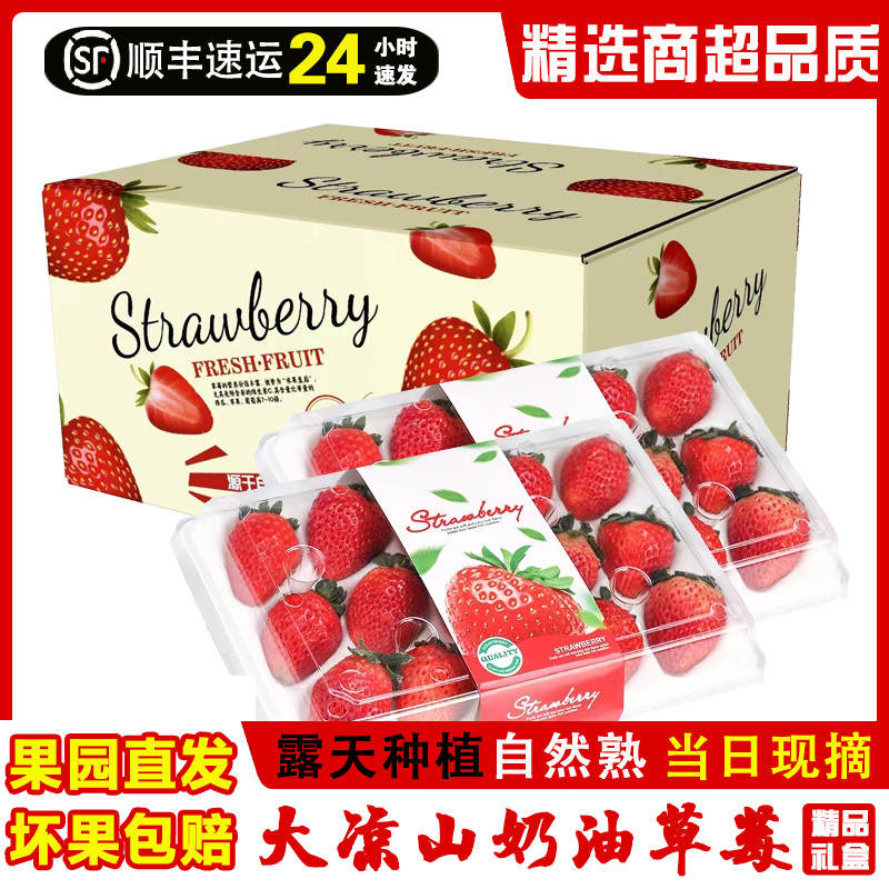【顺丰】草莓新鲜现摘露天奶油红颜99冬草莓应季水果礼盒非丹东