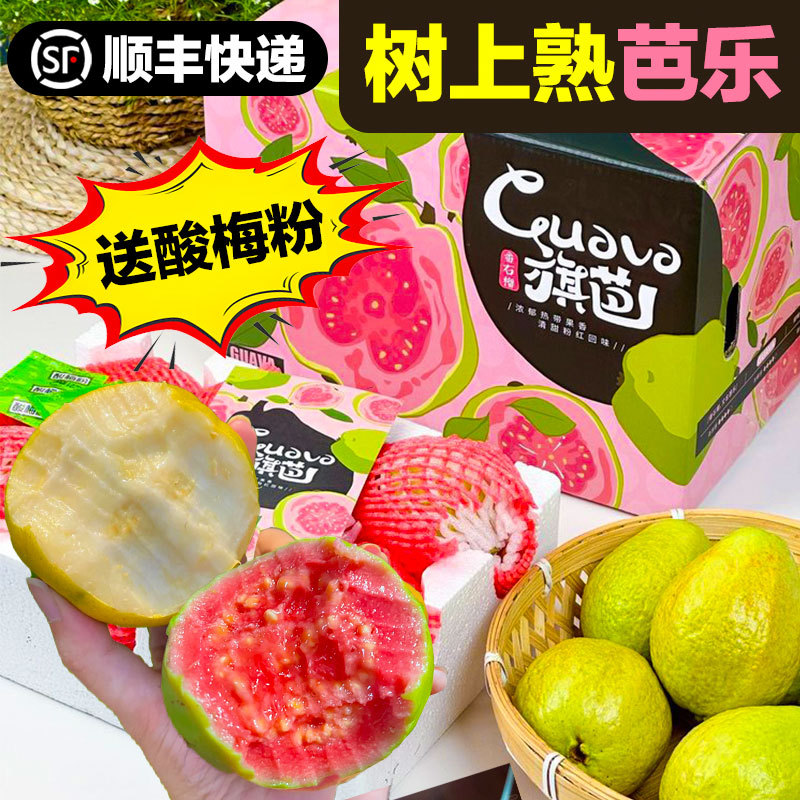 旗芭芭乐番石榴奶油红心白芭乐新鲜低糖水顺丰果礼盒装整箱包邮