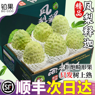 顺丰礼盒 5斤凤梨释迦果新鲜水果当季大果番荔枝林檎佛头牛奶包邮
