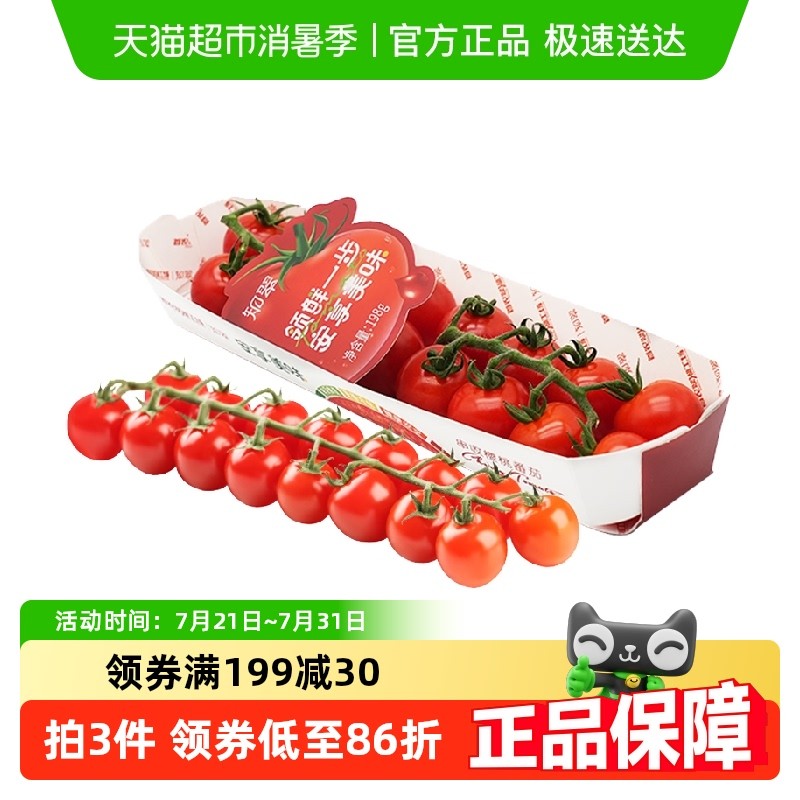 【知翠】串收樱桃番茄生吃小番茄新鲜应季水果非圣女果自然熟
