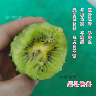 【不甜包退-半野生】猕猴