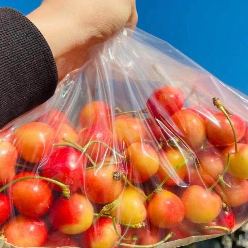 礼盒装智利空运黄金车厘子雷尼尔大樱桃车厘子2-4J顺丰脆甜新鲜,3C数码配件,笔记本个性小贴纸,淘宝优惠券,粉丝福利购,淘宝优惠卷