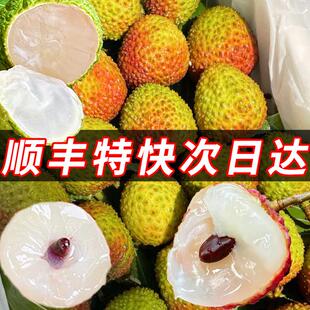 正宗妃子笑荔枝新鲜现摘现发海南广白东西5糖罂10斤2026应季水果