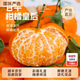 正宗四川眉山甘平小金牛柑橘皇后新鲜水果桔子整箱顺丰/京东生鲜