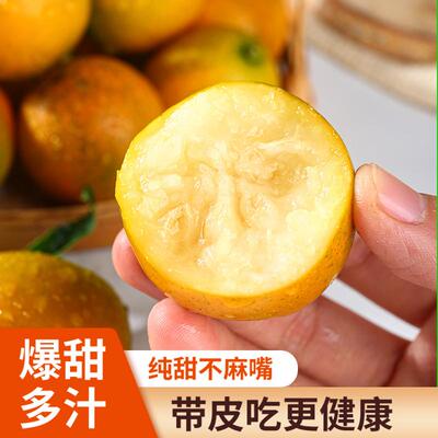 广西融安脆蜜金桔第三代当季新鲜水果大果纯甜金柑独立包装礼盒装