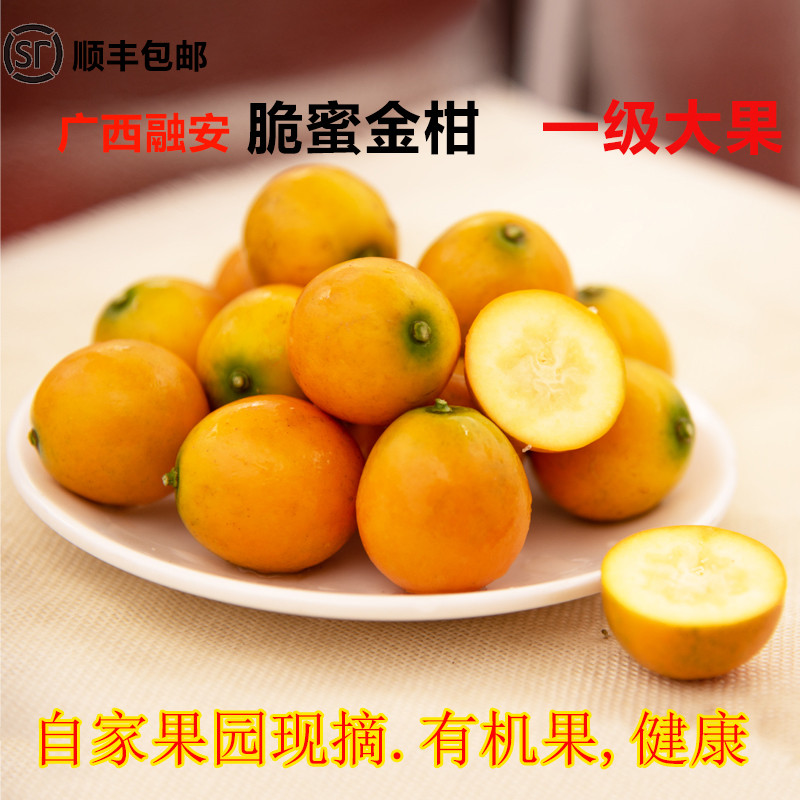 脆蜜金柑第三代金桔纯甜不麻嘴角2斤3斤5斤装地标水果