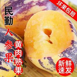 甘肃武威人参果精选大果产地直发低糖黄肉长果应季孕妇水果3斤起