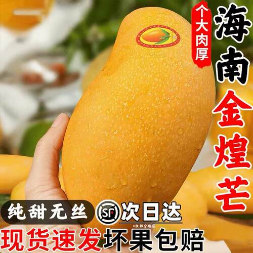 海南金煌芒果芒果新鲜大果整箱水果当季现摘斤甜心黄皮芒水仙芒