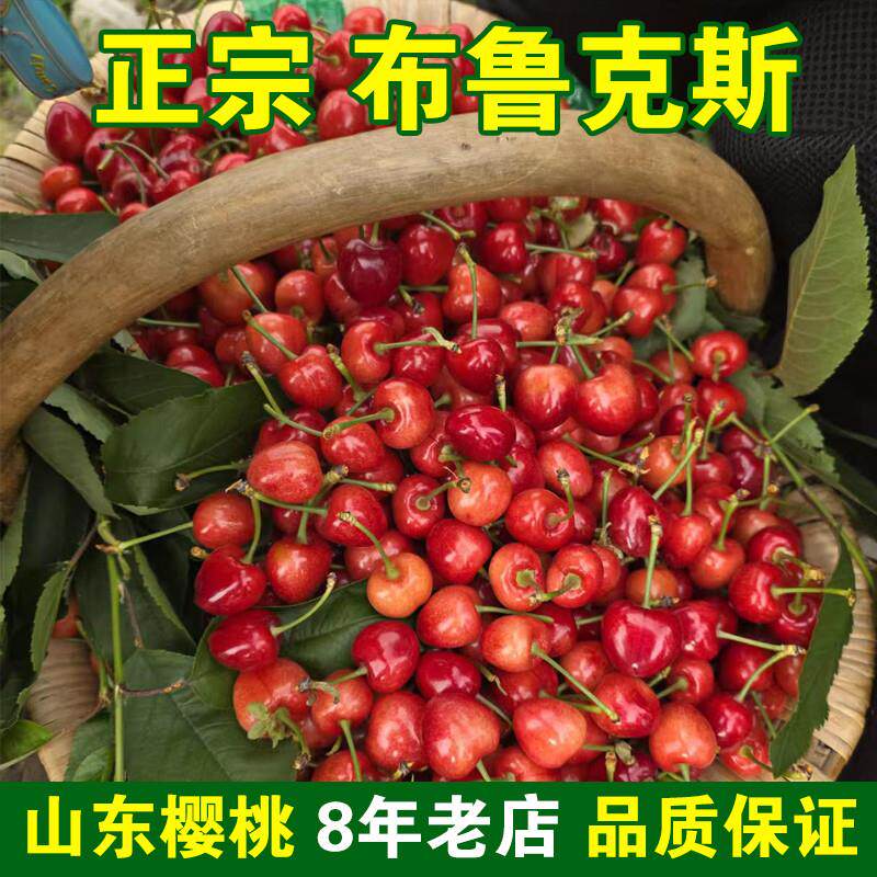 正宗山东烟台大樱桃新鲜水果大红灯水晶酸甜脆国产车厘子