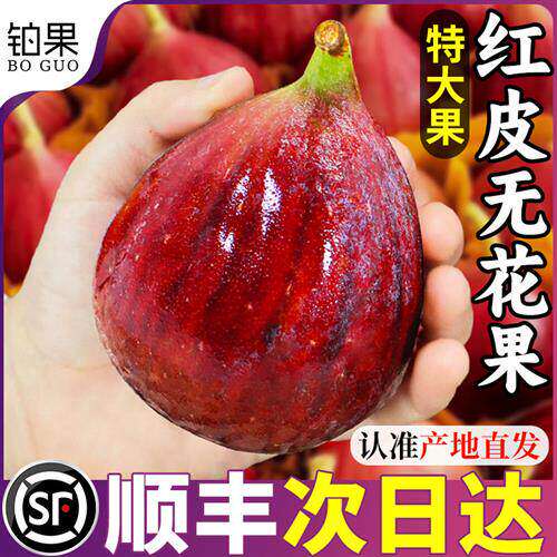 顺丰 5斤云南红皮无花果鲜果新鲜水果现摘一级大果糖包子整箱包邮
