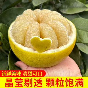 重庆梁平柚子正宗梁山柚麻柚平顶柚龙滩百年老树柚农家种植白蜜柚