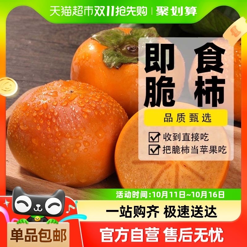 【直接吃爆甜】巧克力脆柿子新鲜应季水果现摘生吃甜柿硬黄柿阳丰