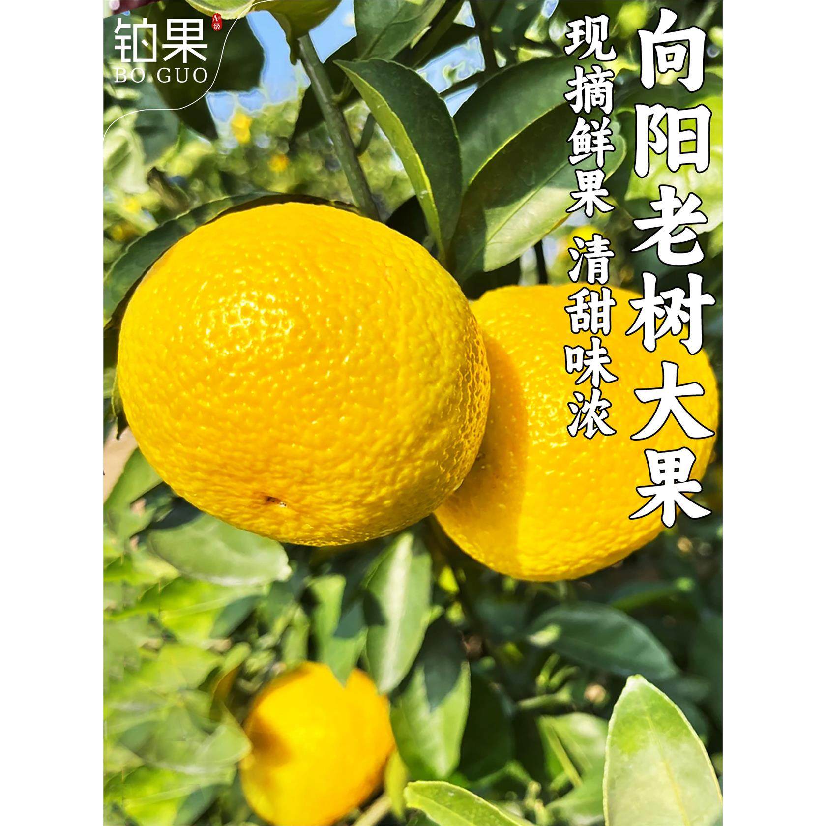 顺丰礼盒10斤福建甜桔柚新鲜水果柚子甜心柚黄金贡柚橘柚整箱包邮,包装,水果包装,淘宝优惠券,粉丝福利购,淘宝优惠卷