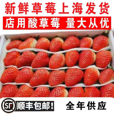 上海发货新鲜草莓商用糖葫芦四季云南草莓双流烘焙蛋糕奶茶水果