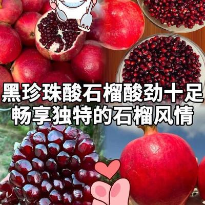 四川攀枝花鸽血软籽酸石榴酸甜黑石榴孕妇水果半口黑珍珠新鲜大果