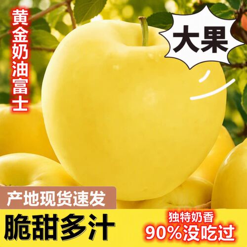 山东正宗黄金奶油富士苹果苹果脆甜奶油味新鲜孕妇水果现摘多汁