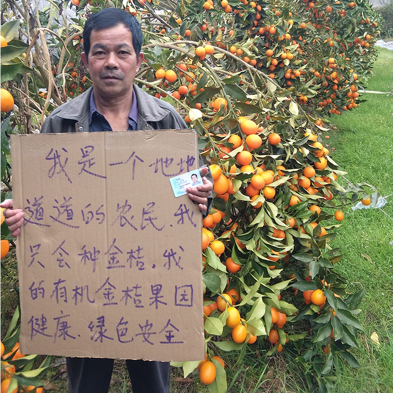 广西融安滑皮金桔新鲜水果金桔一级大果特产现摘现发纯甜金橘礼盒