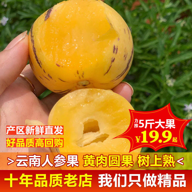 【树上熟】云南石林人参果熟果圆果黄心黄肉当季应季新鲜水果整箱