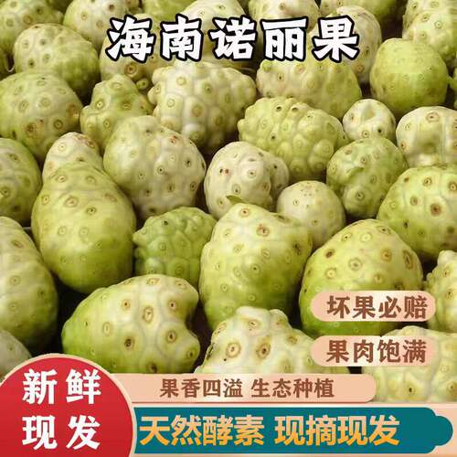 诺丽果新鲜海南水果5斤现