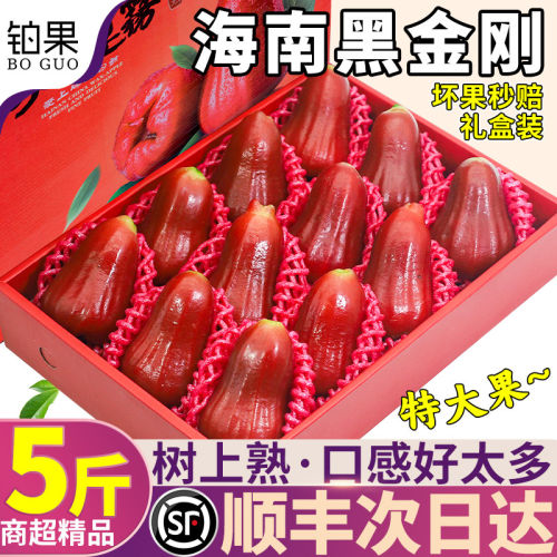 顺丰礼盒5斤海南黑金刚