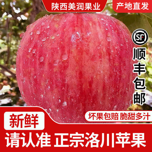 陕西洛川苹果水晶红富士