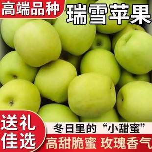 正宗陕西瑞雪青苹果纯甜绿脆甜苹果水果礼盒套装10斤新货现发