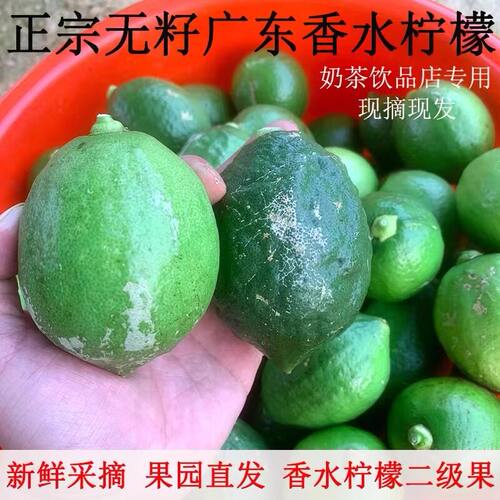 无籽广东香水柠檬二级果5