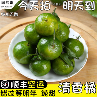 顺丰空运云南清香橘清香蜜桔砂糖橘纯甜无酸青香桔巴西柑新鲜广西