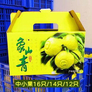 象山青美人春香柑橘甜柠檬黄金贡柚甜蜜桔孕妇新鲜水果江浙沪包邮